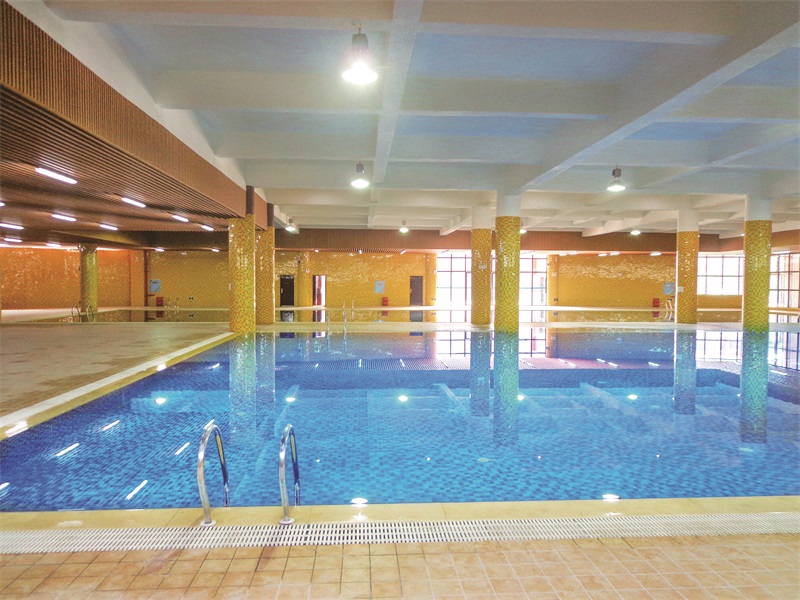 室內(nèi)泳池專用除濕機 
