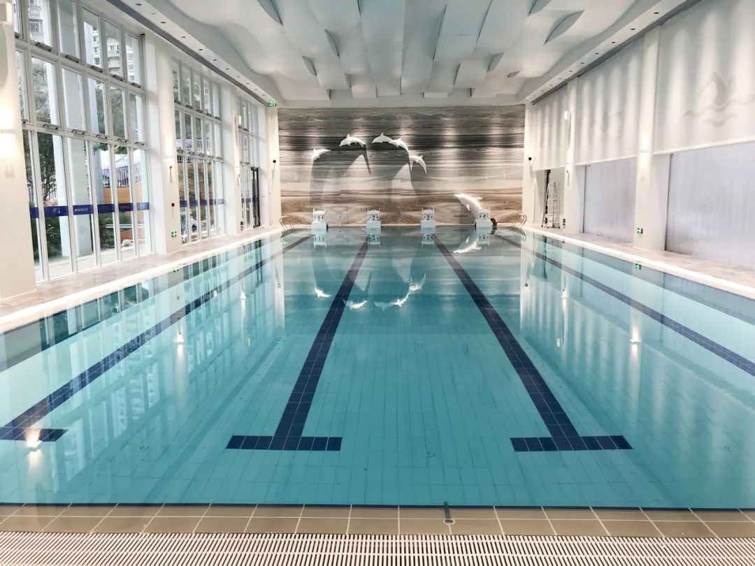 室內游泳池專用除濕機,游泳池除濕機,室內恒溫游泳池